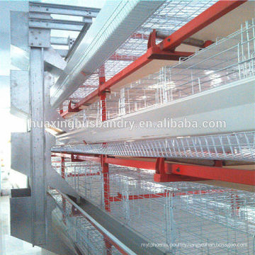 High quality low price broiler chicken rate for chicken shed